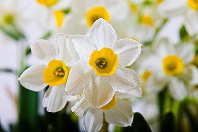 《inZOI》DLC更新介绍视频放出！8折史低优惠已上线